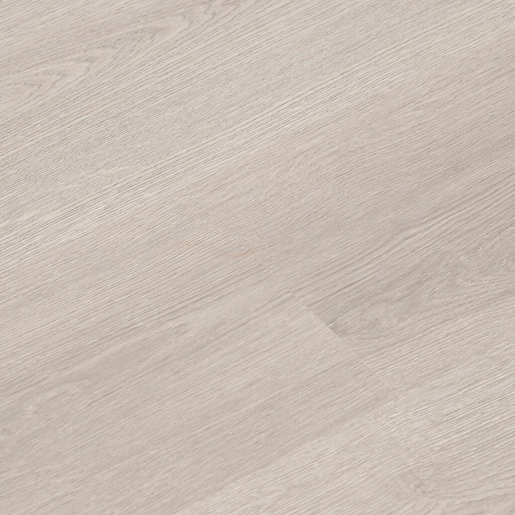 Dove Grey